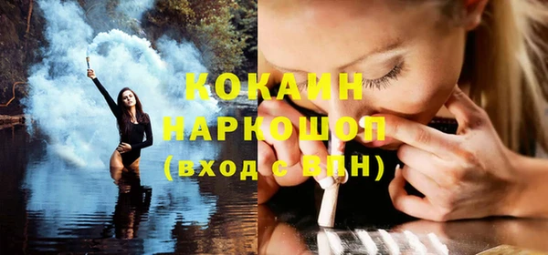 стафф Няндома